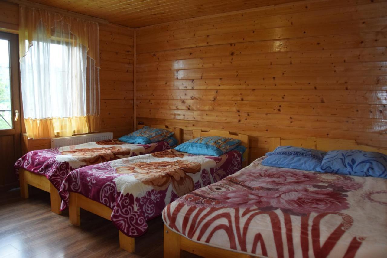 Villa Аура Карпат à Slavsko Extérieur photo