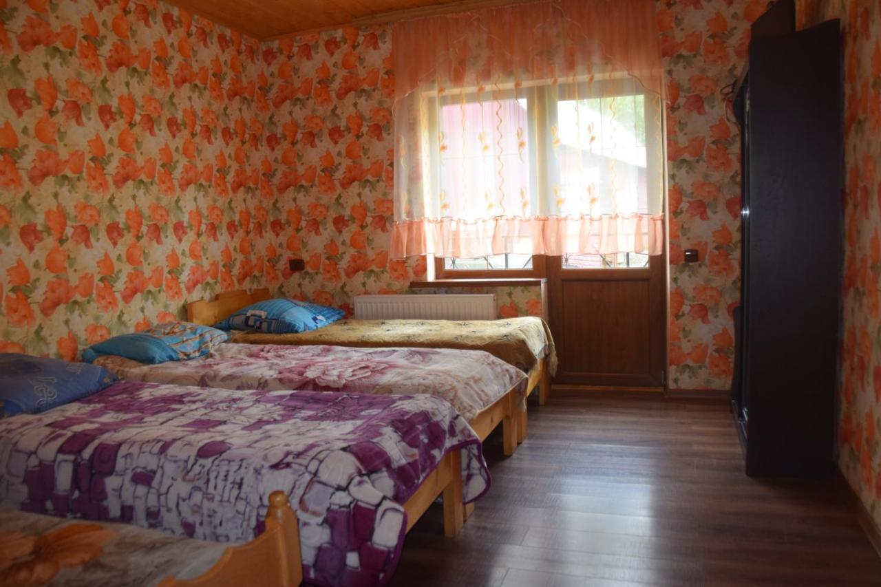 Villa Аура Карпат à Slavsko Extérieur photo