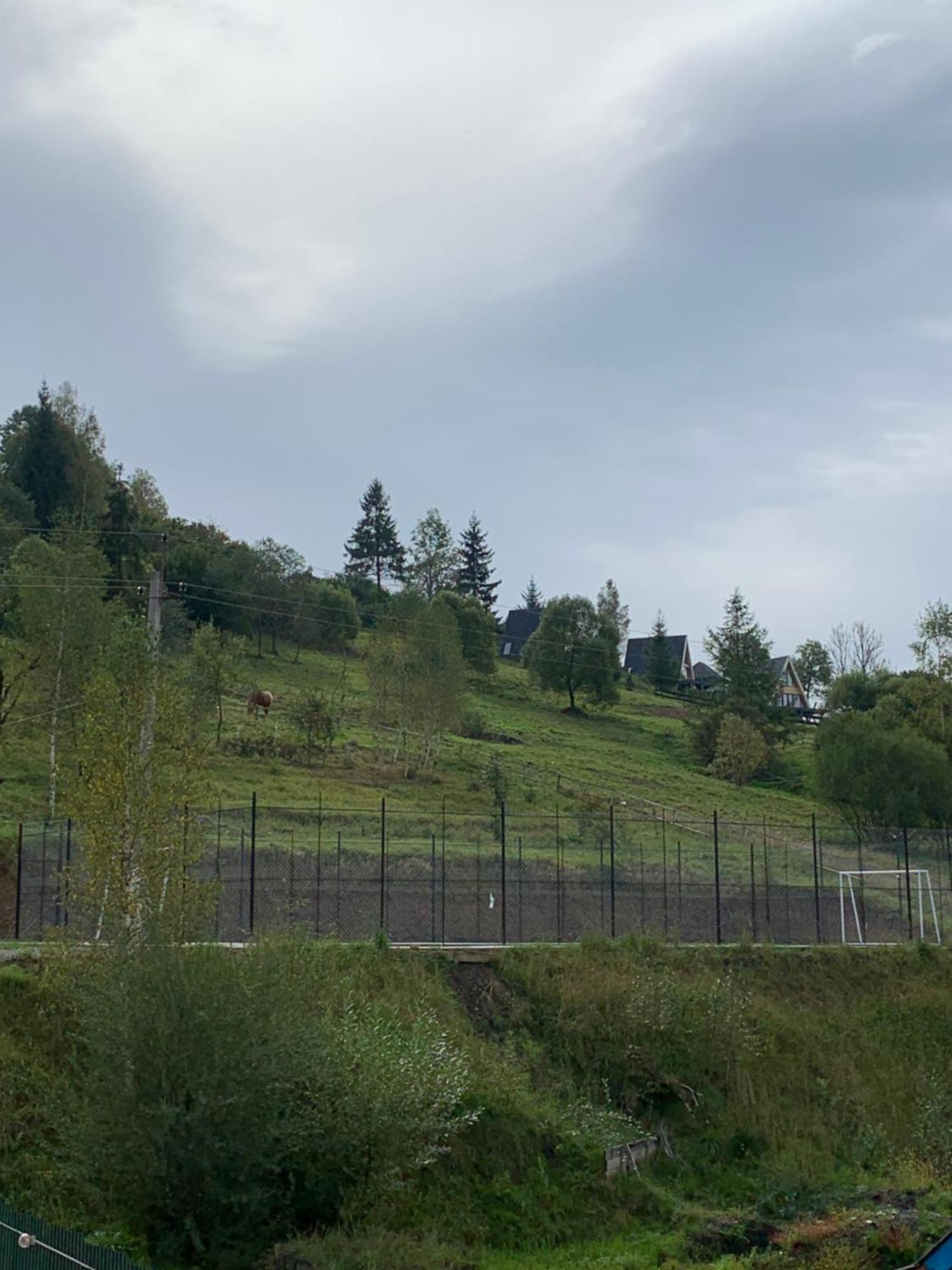 Villa Аура Карпат à Slavsko Extérieur photo